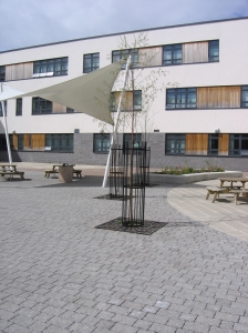 Tree grilles and tree protection at Denny High School